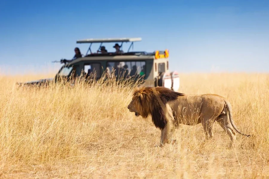 8 days Safari (Masai Mara, Nakuru, Amboseli, Taita Hills, Tsavo East/West)