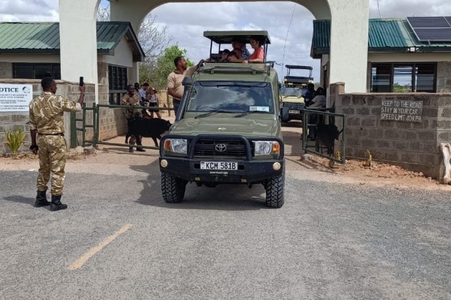 2 Days / 1 Night Safari (Tsavo East)