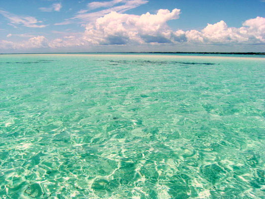 Safari Horizon Vacation Package: Transfers, Accommodation, and Amazing Adventures!